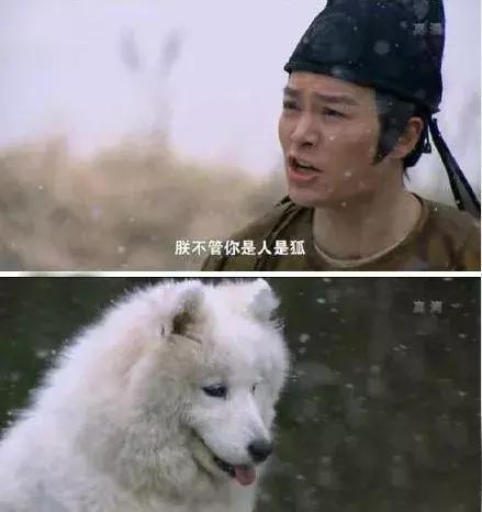 盘点经典影视剧里的奇葩剧情,盘点十大奇葩又离谱的剧情