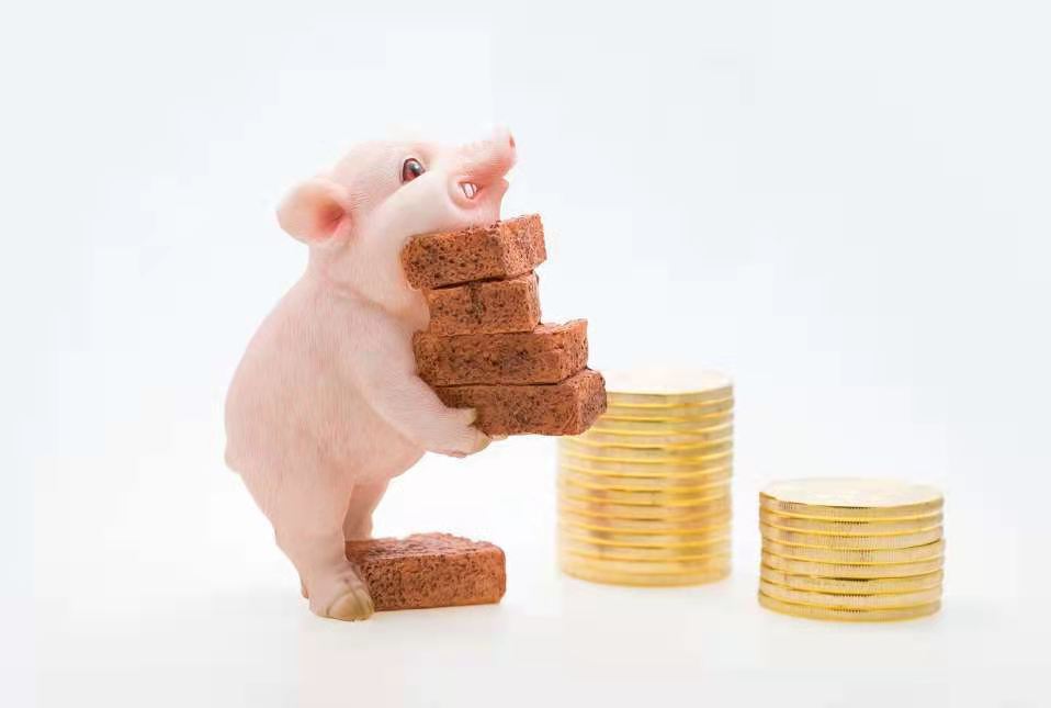 小白理财课套路,深扒所有基金