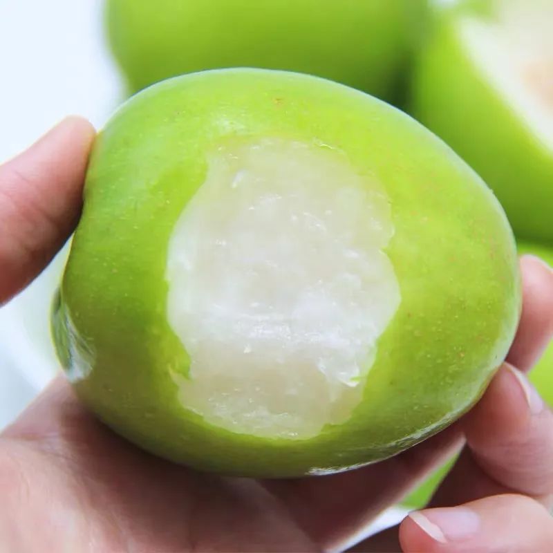 台湾牛奶枣最新品种,台湾特大牛奶枣