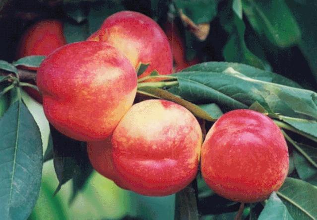 凌海市能成为锦州的一个区吗,锦州市凌海市怎么样