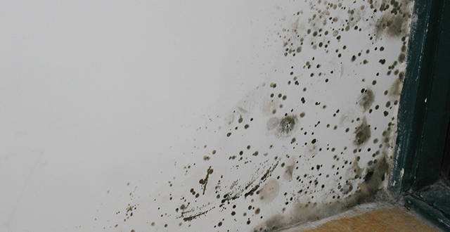 无机涂料是如何做到防霉防潮的