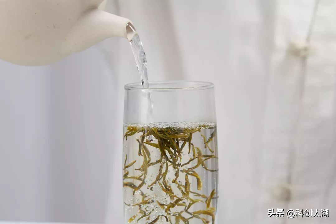 用多少度的茶泡茶最好喝,蒲公英根茶与什么泡茶最好