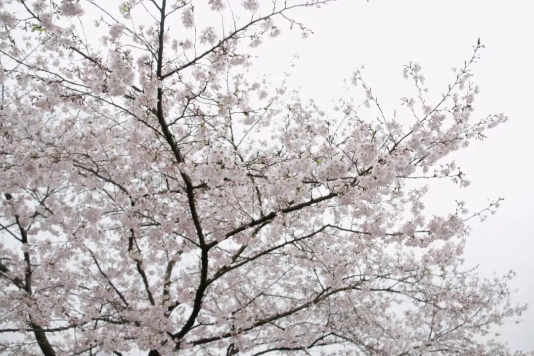 等疫情结束了和我一起去旅游吧,等疫情结束了我就带你去玩