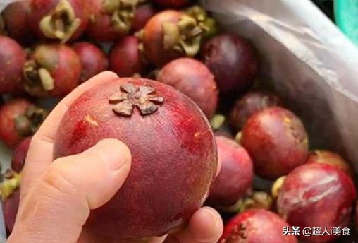 水果皇后山竹你喜欢吃吗,水果皇后山竹在几月份成熟