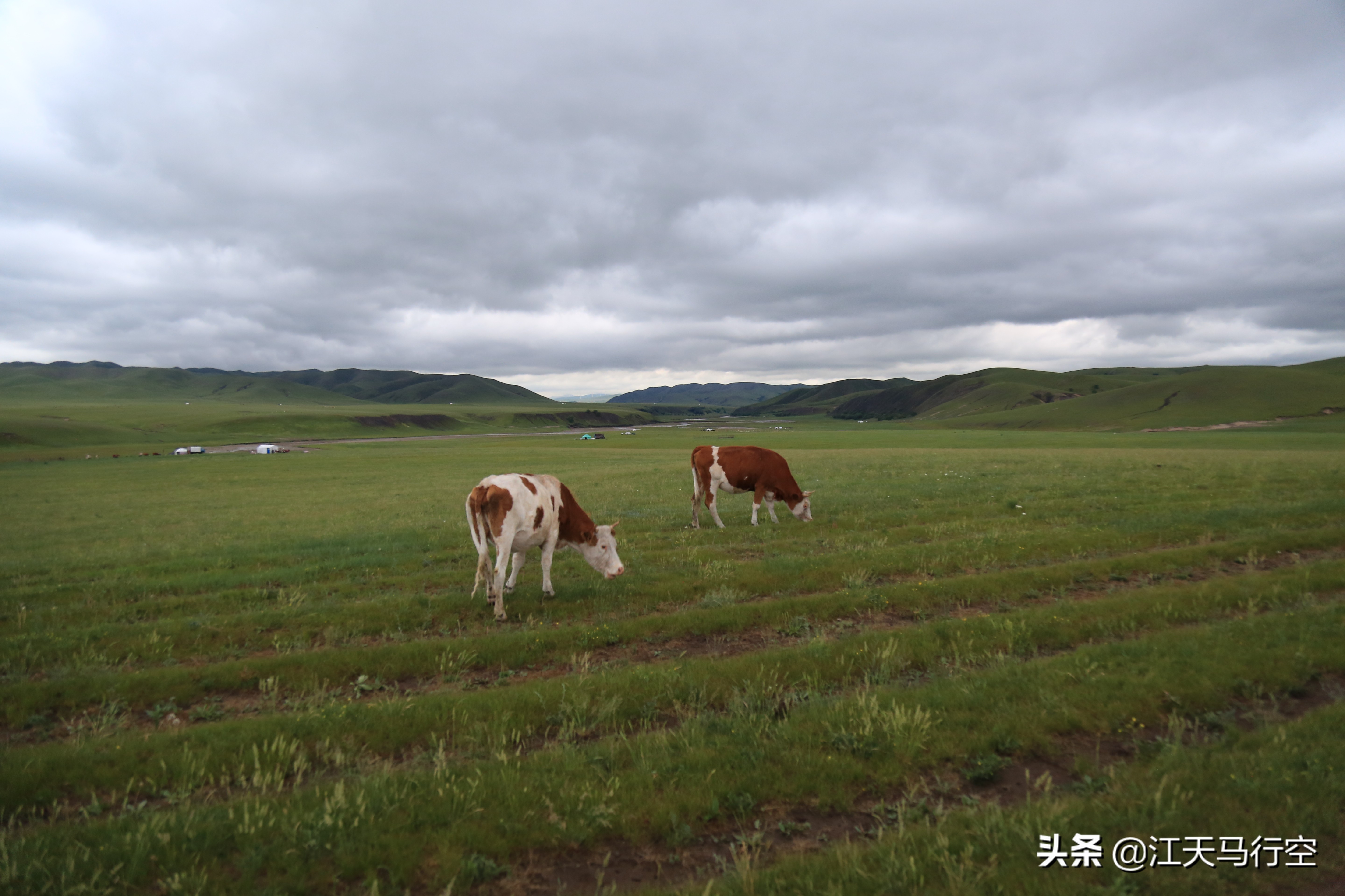 内蒙古草原与国家公园,内蒙古的草原自然公园