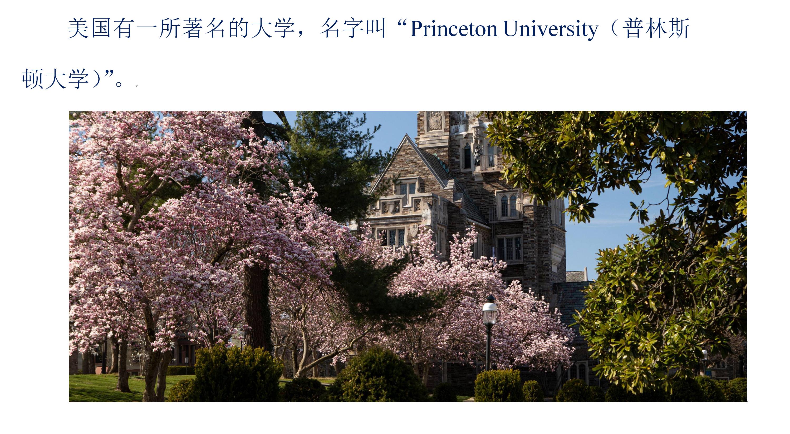 利用世界名著《小王子》轻松记忆英拉法德意西语单词