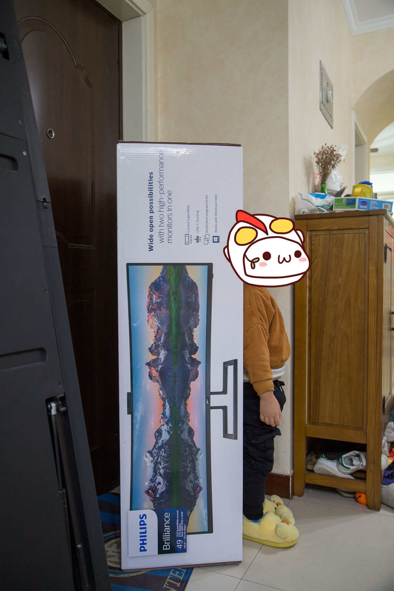 飞利浦499p9h1用什么样的显卡,飞利浦49寸显示屏