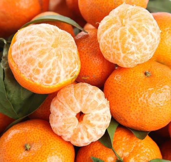 沙糖桔为什么是杀人桔呢,沙糖桔为什么是杀人桔