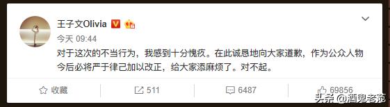 整容成小三,整容变美却嫁给丑八怪