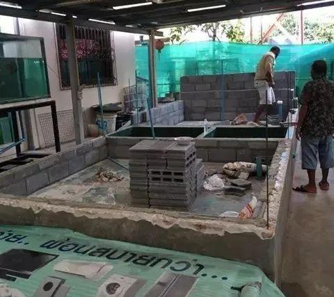 国外某熊孩子自告奋勇去擦缸把龙鱼吓脱臼了！