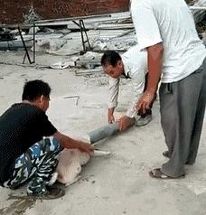 贾玲在沙发上翘二郎腿搞笑图片,贾玲跷二郎腿动图下载