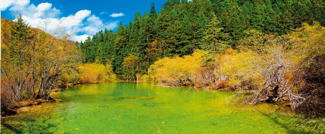 黄龙洞鬼斧神工,黄龙大自然风景