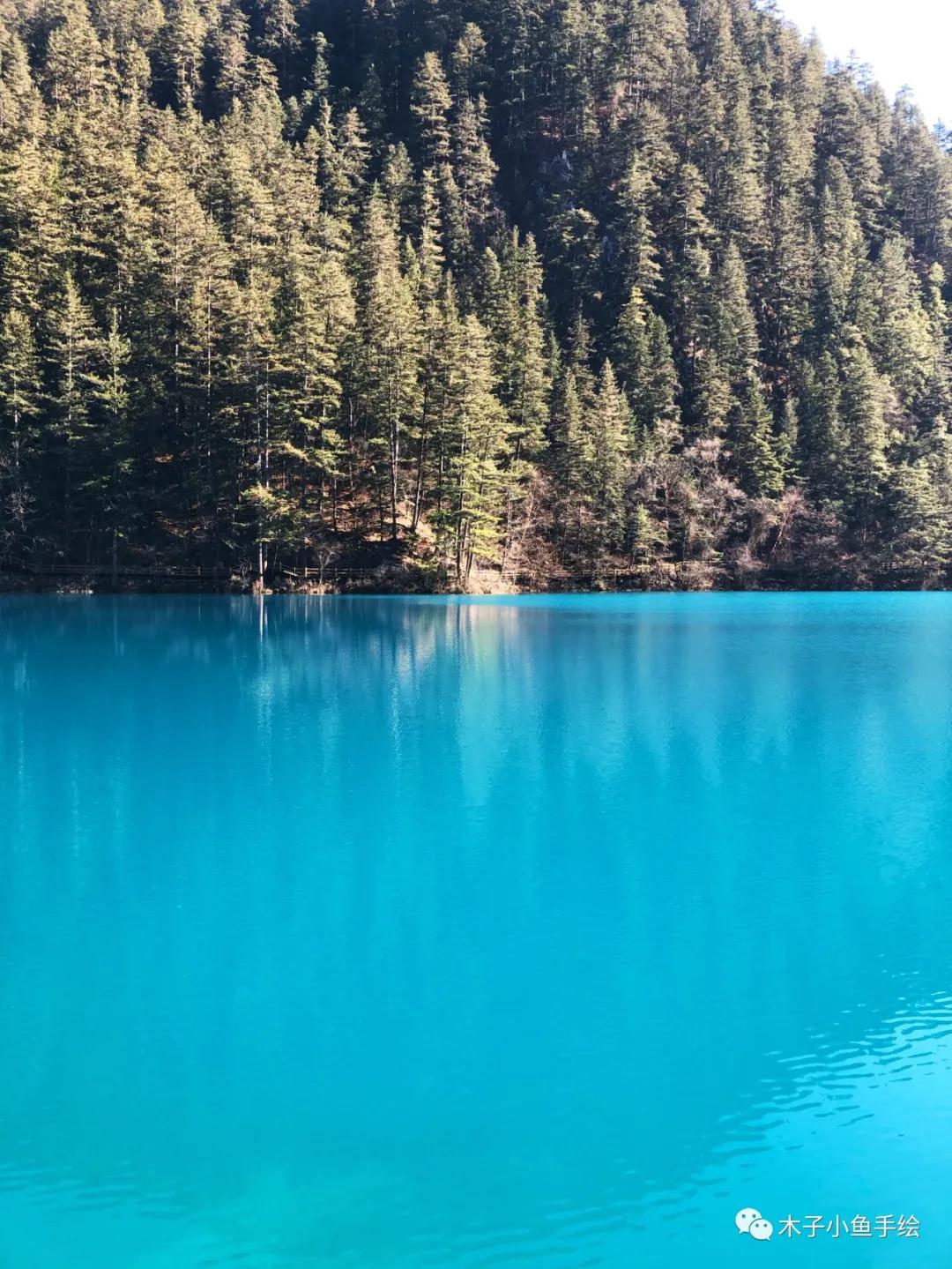 2021九寨沟官方视频,九寨沟跨年夜