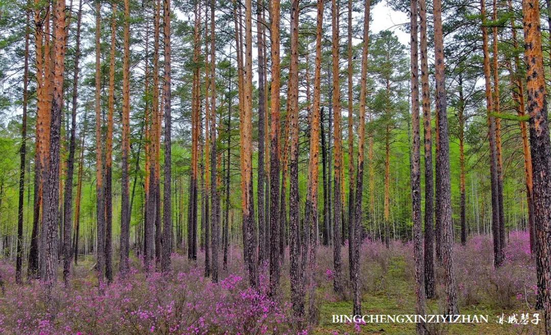 寻找中国最美的春季,探寻中国最美秘境
