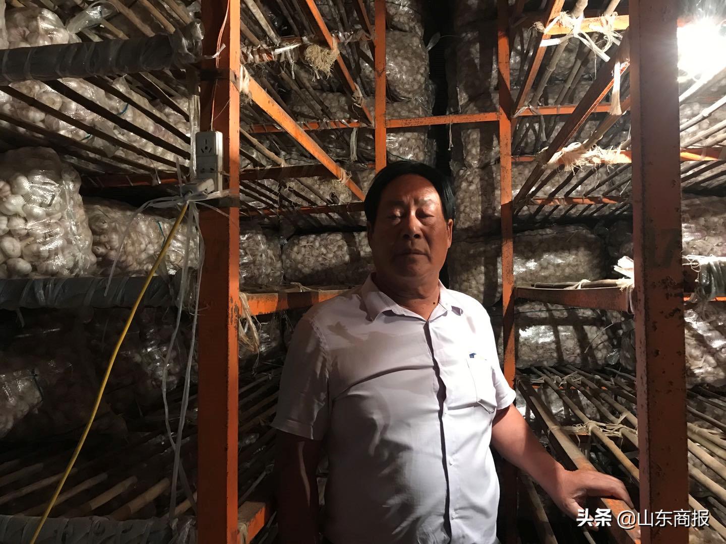 山东金乡蒜子,山东金乡县蒜苔