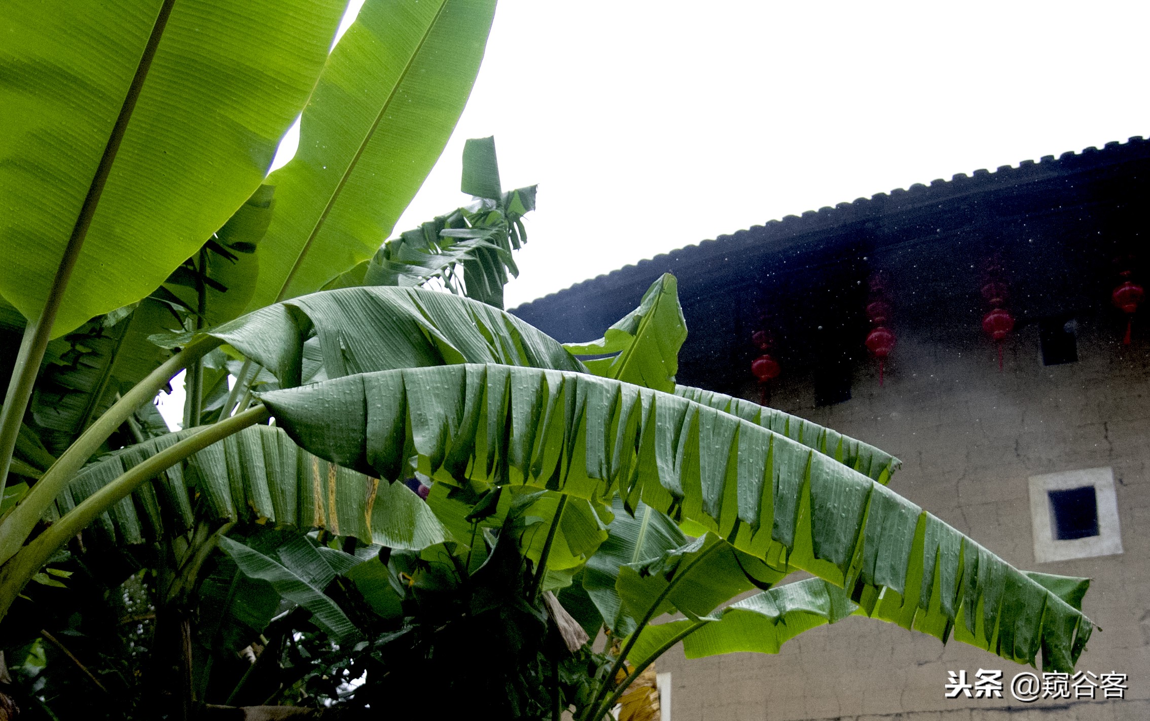 不可错过的英文歌,不可错过的云水谣