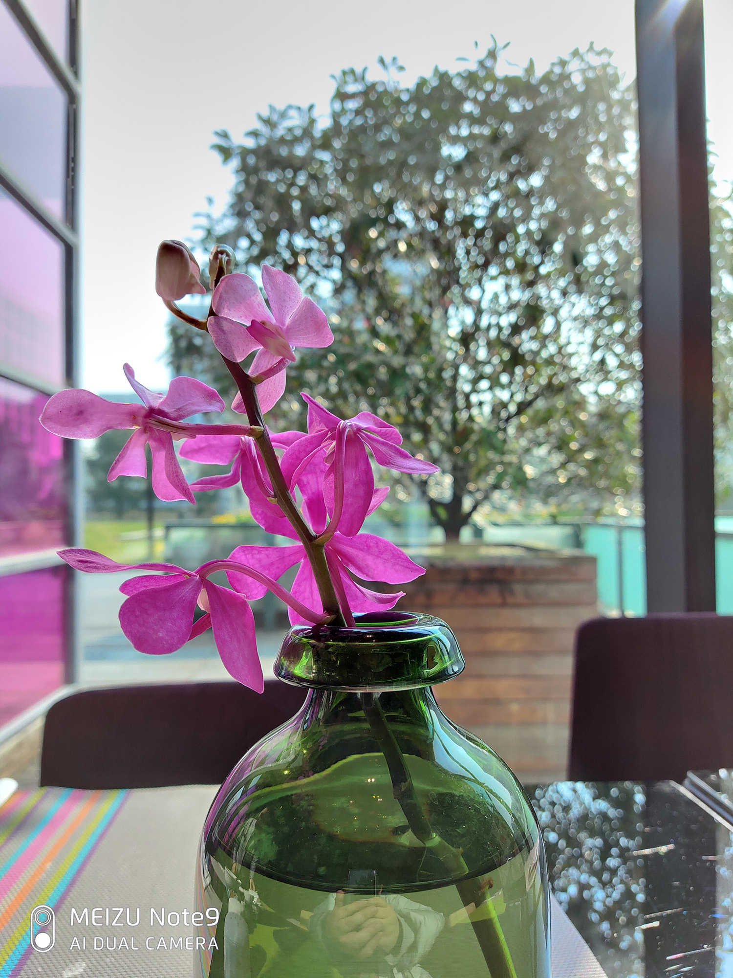 魅族note9评测吃鸡帧数,魅族note9测评王者荣耀