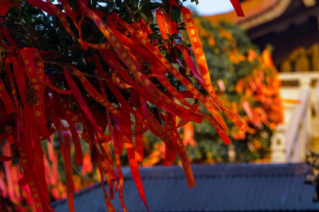 苏州西山有什么好的农家乐,苏州西山农家乐春节五日游