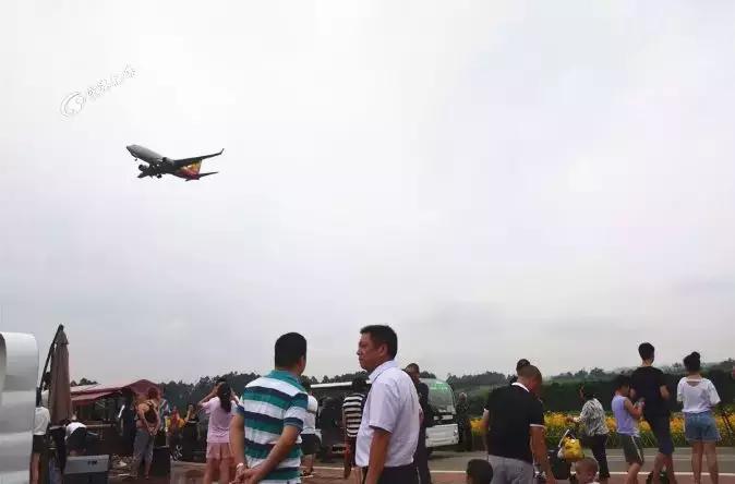 双流哪里可以赏花看飞机,双流附近赏花攻略路线