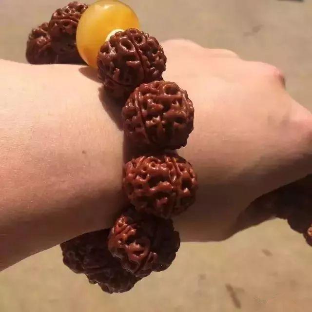 金刚菩提和落地红对比图,盘了两年的金刚值多少钱