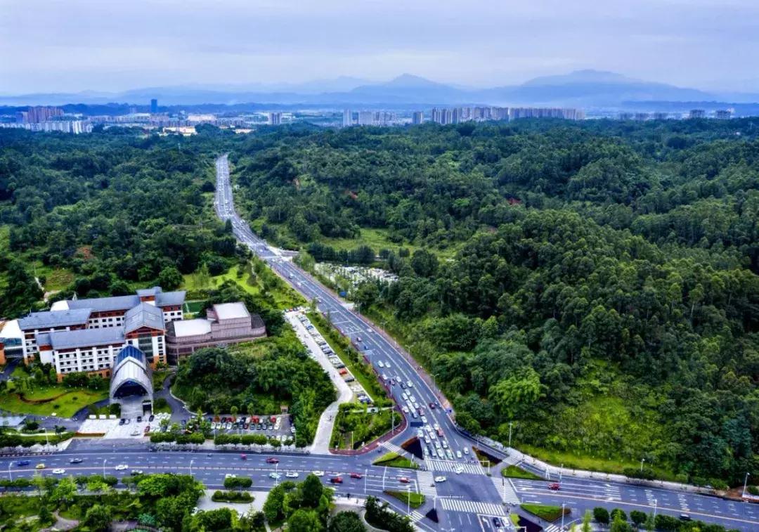 乐山市生态文明,庆祝新中国成立70周年特辑宣讲