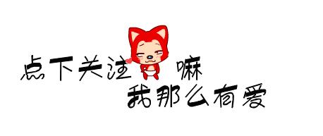 拉布拉多犬的优点和缺点家养犬,拉布拉多和金毛的优点和缺点