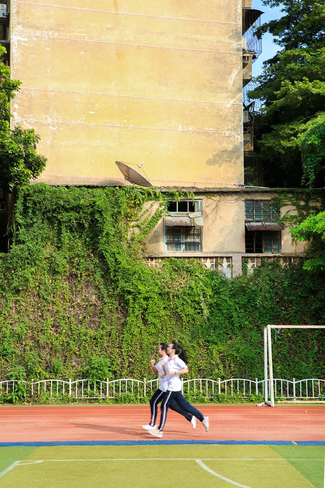 任尔东西南北风不悔李纯截图,任尔东西南北风我亦巍然不动