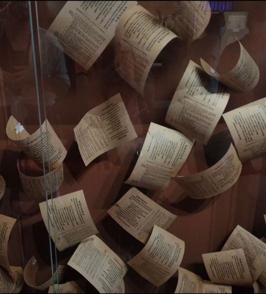 王林平视频大全,王林平泰国游记全集