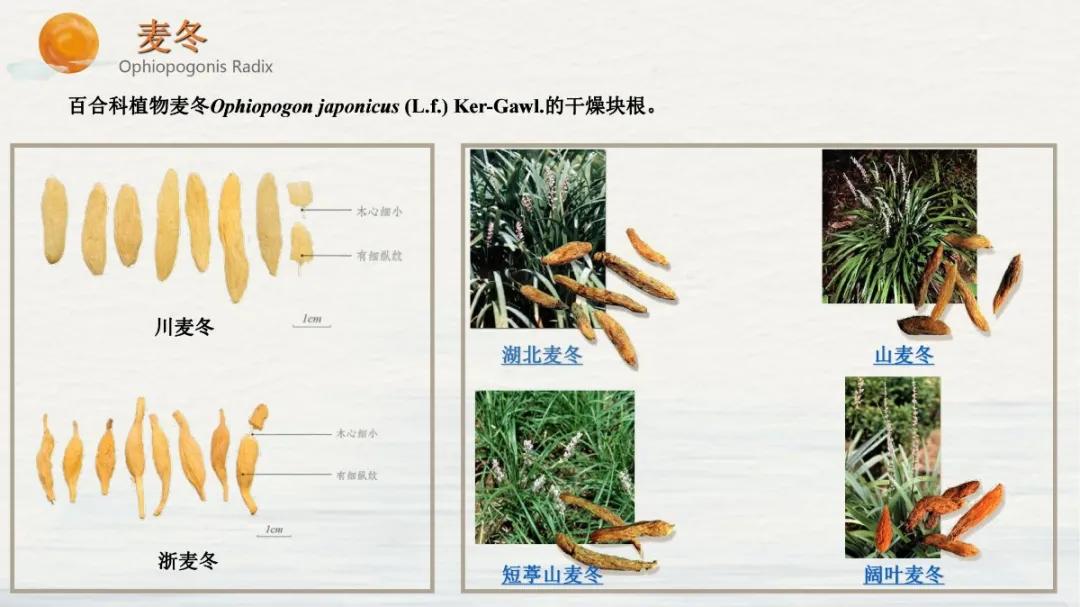 常见中药饮片假劣鉴别,中药饮片真伪鉴别