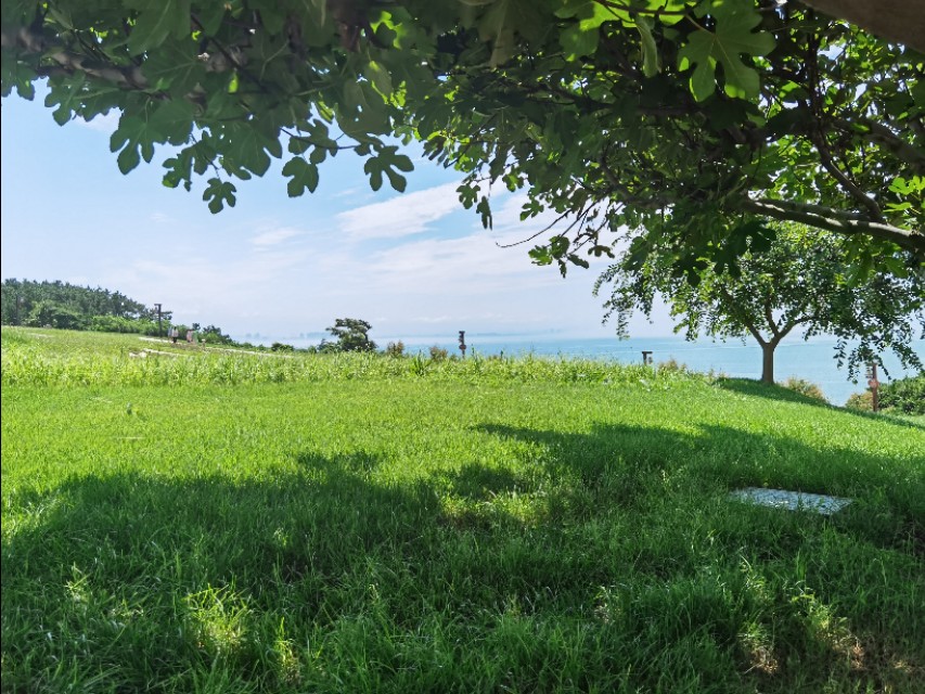 济南到荣成三日游路线规划,济南至荣成高铁时刻表