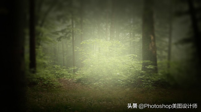 新手如何学习ps,ps手把手教你学会新手入门
