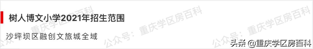 沙小、树人、七中！来看沙坪坝如何布局教育资源