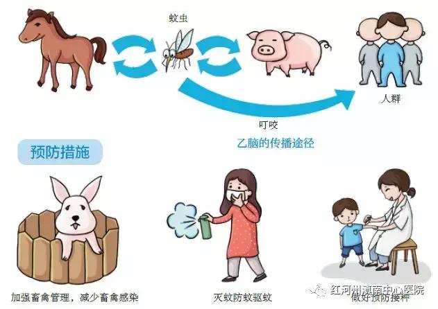 小孩被蚊子叮咬眼睛肿了,儿童被蚊子咬后发烧