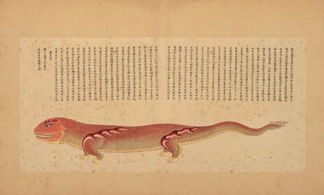 奇丑的人鱼图片,人鱼到底长什么样子