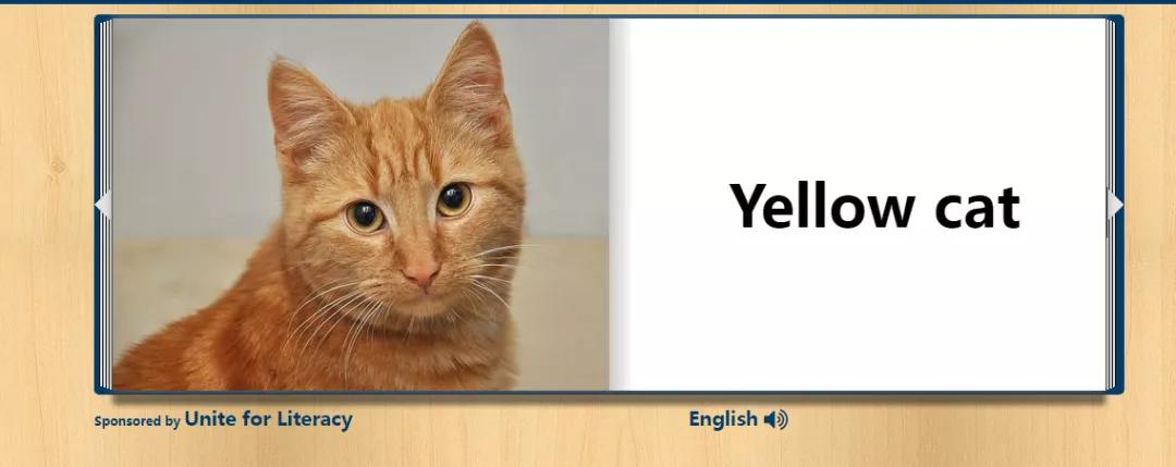 十大有趣的宝藏网站,十大实用宝藏网站