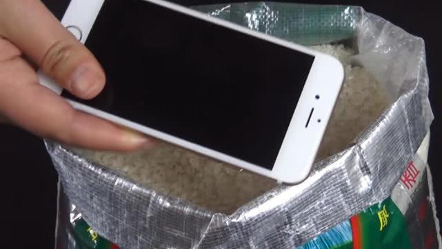 手机掉水里了黑屏了应该怎么处理,手机掉水里没有声音快速处理方法