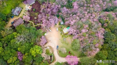 苏州上方山森林公园作文,苏州上方山国家森林公园电话