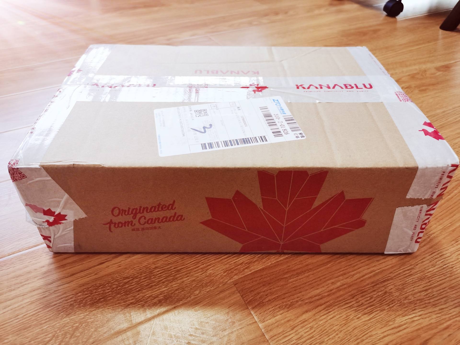 养猫必备物品需要多少钱,养猫必备物品羊奶粉