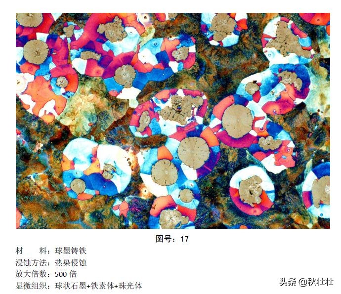 马氏体和奥氏体金相图片,马氏体和珠光体金相区别