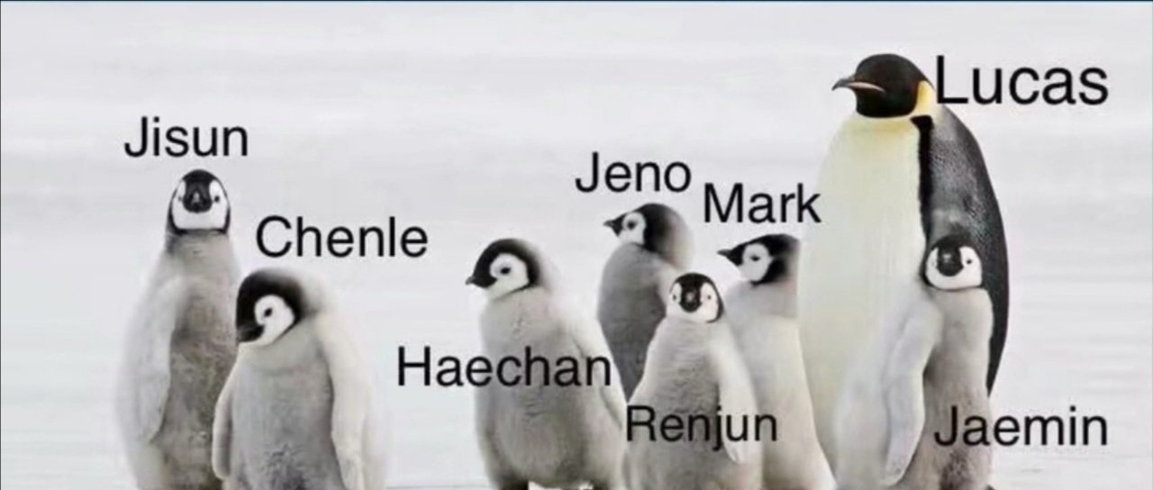 nct成员定位介绍,nct02