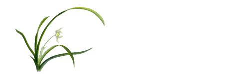 汪字兰花历史,汪姓文化传承