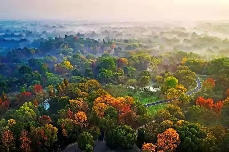 莫干山东,中国铁建在德清版“西溪墅区”中造了一个“山居梦”