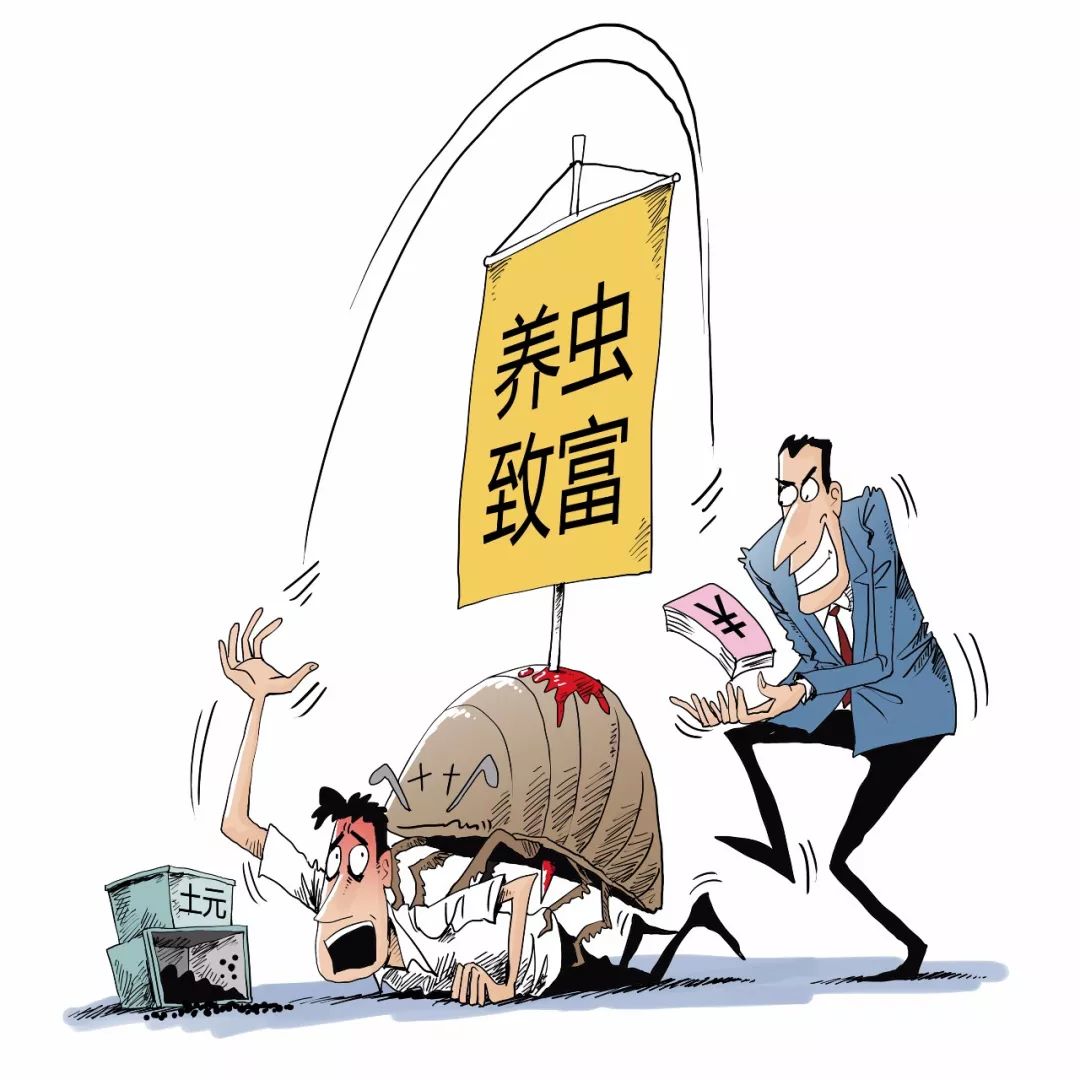 订单式养殖都有哪些好项目和方法,利润很吓人的10个冷门养殖项目