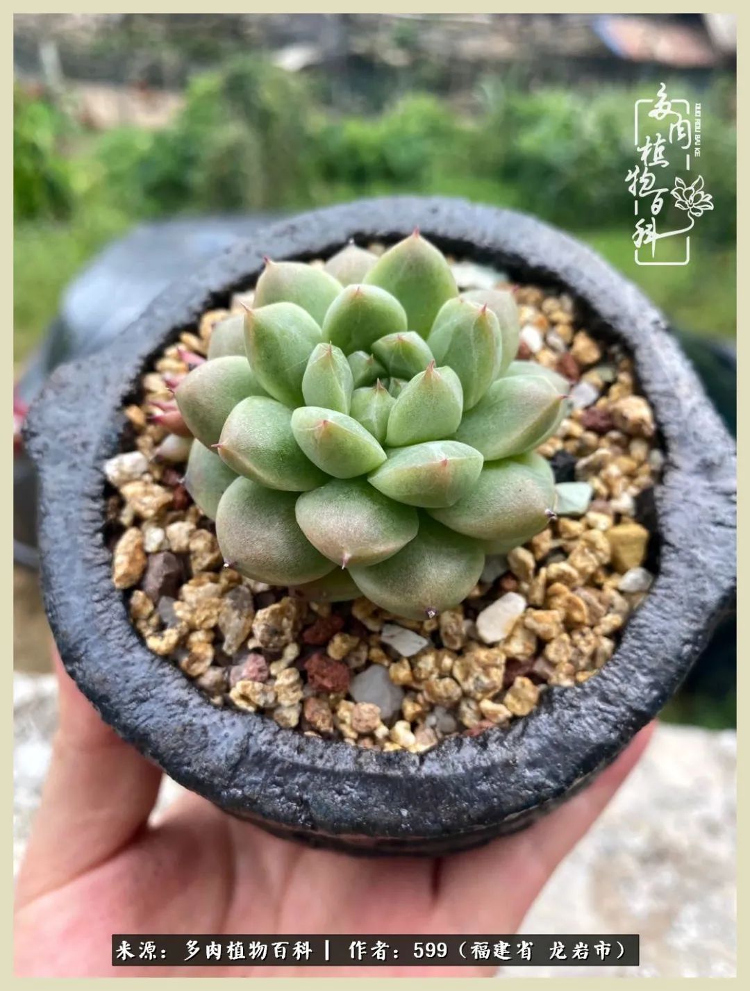 所有的热爱都不遗余力,所有的忙碌都是因为热爱