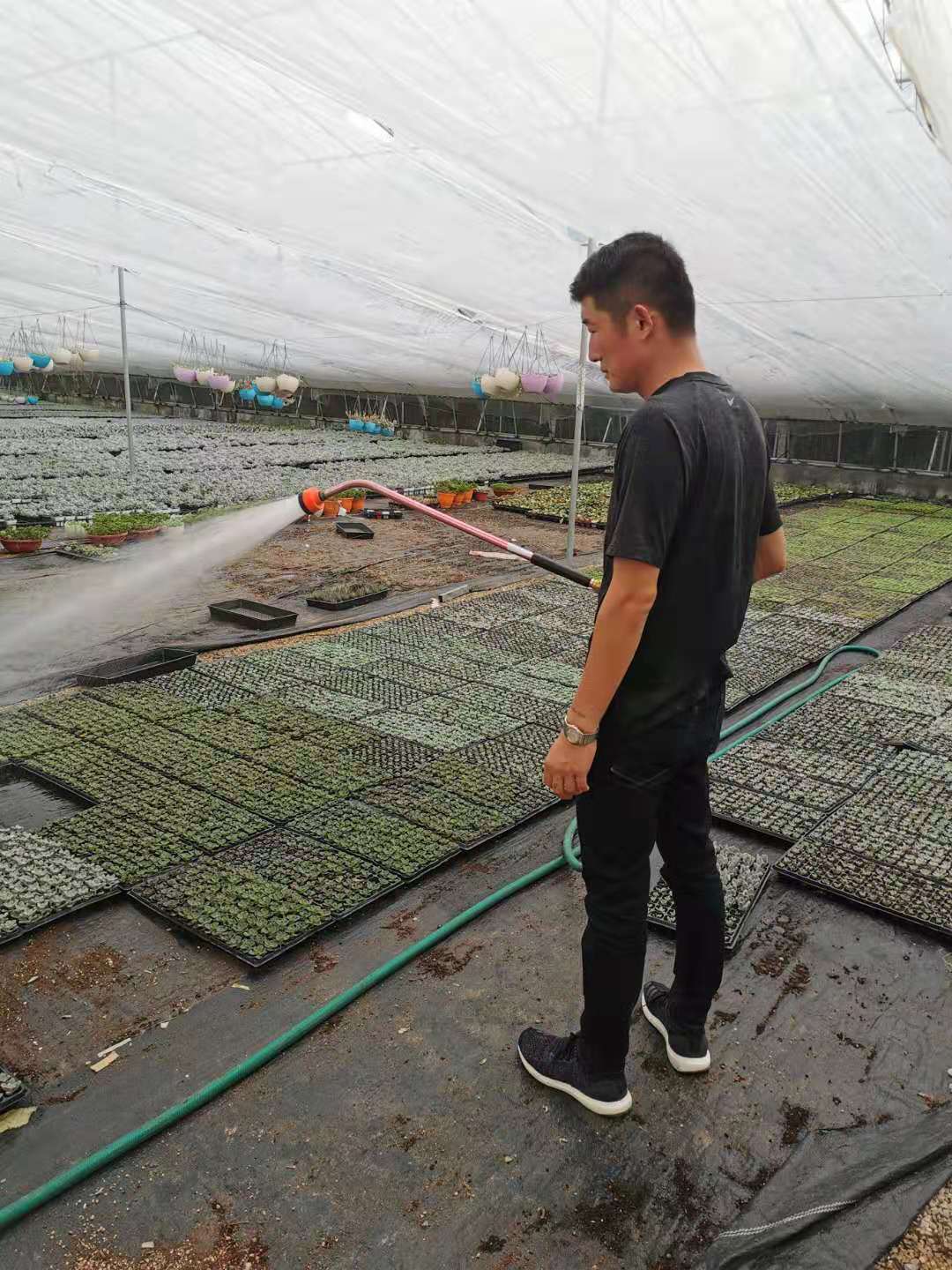 卖多肉年入千万,农村小伙网上卖农产品年入百万