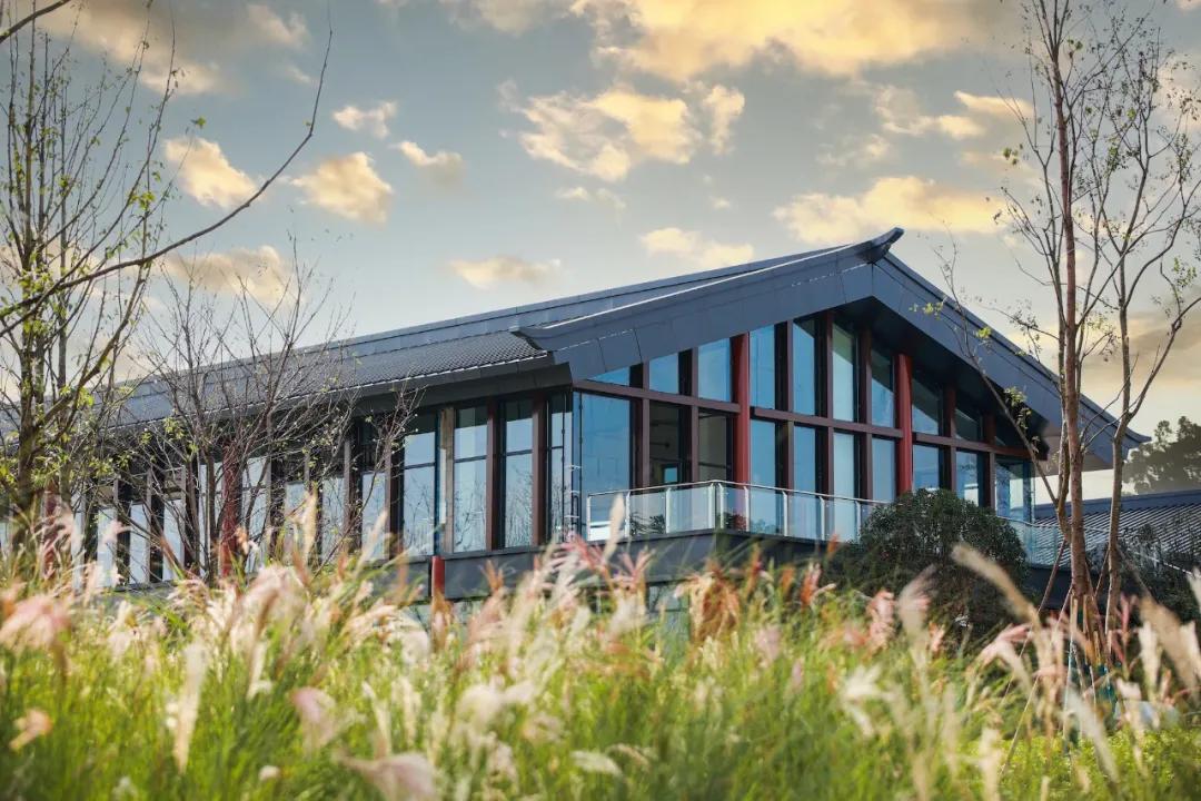 踏青打卡好去处双流空港公园,环城生态公园东片区