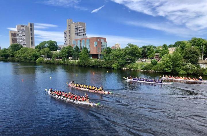离开中国，德国人划龙舟最起劲？这些国家也爱过端午