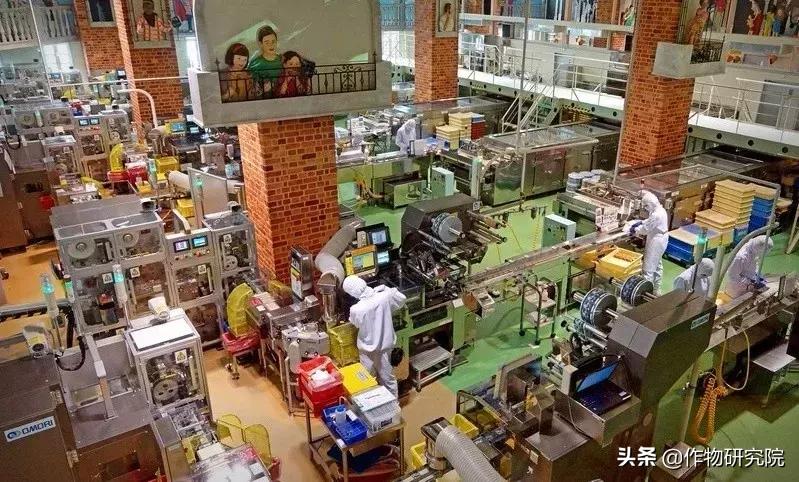 日式网红薄饼干,日本饼干伴手礼