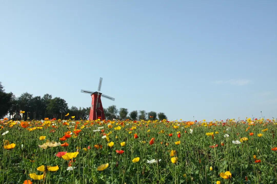 乡村休闲旅游线路,四川50条乡村旅游精品线路