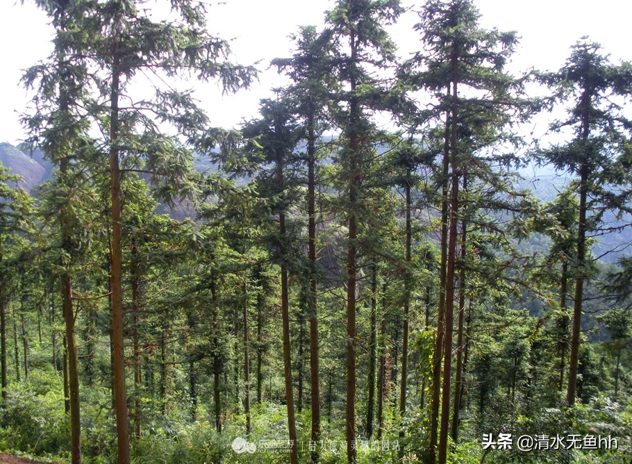 铜钹山九仙湖简介,千年禁地铜钹山
